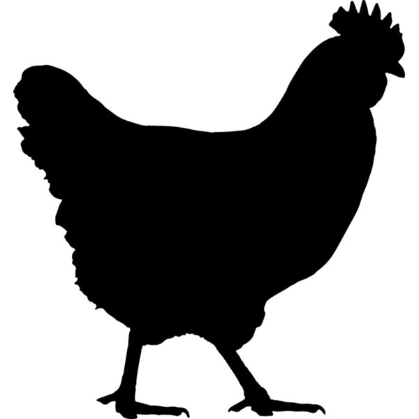 Chicken   Clipart 1 Thumbnail