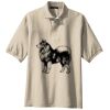Tall Silk Touch Polo Thumbnail